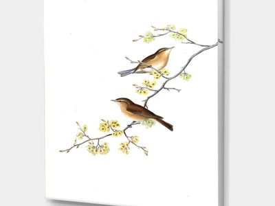 Birds on Tree Branches II Canvas Art