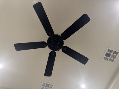 Indoor ceiling fan