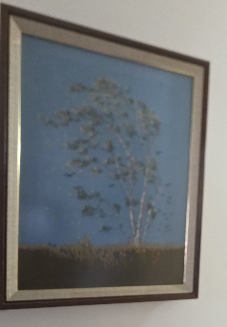 Main image 29