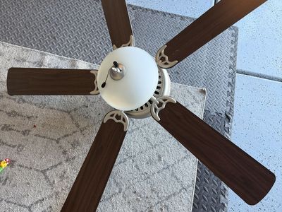 Ceiling Fan