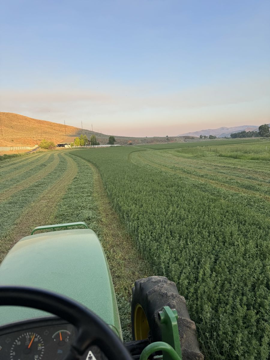 Alfalfa Hay Small Bales  - $13/bale in Henefer - Schedule Pickup