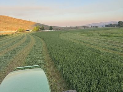 Alfalfa Hay Small Bales - $13/bale in Henefer - Schedule Pickup