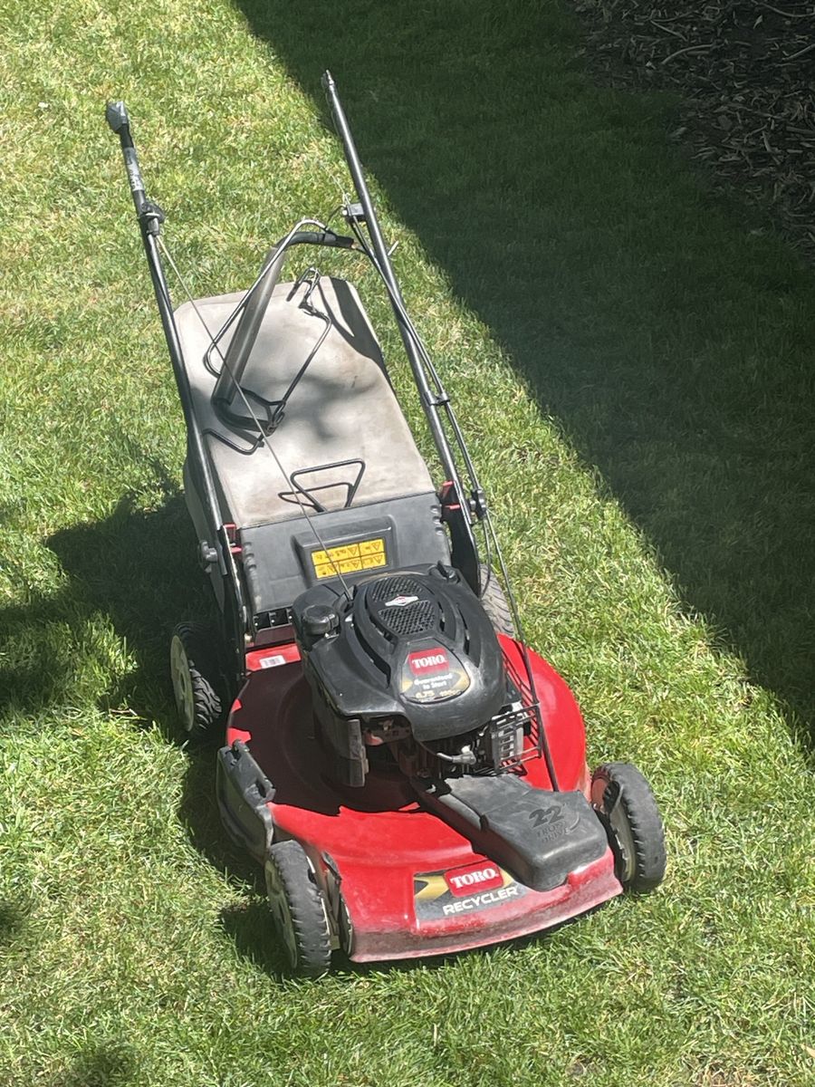 Toro Recycler 22" Gas Walk-Behind Lawn Mower with Catcher Bag