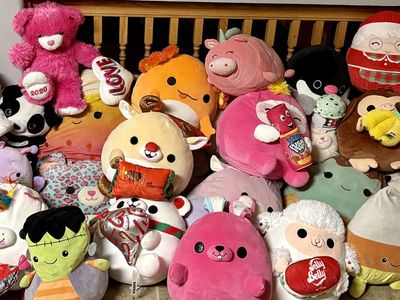 Huge lot of squish mellows squishmellow Pillow Kids Toys Girls Collection CUTE!!!