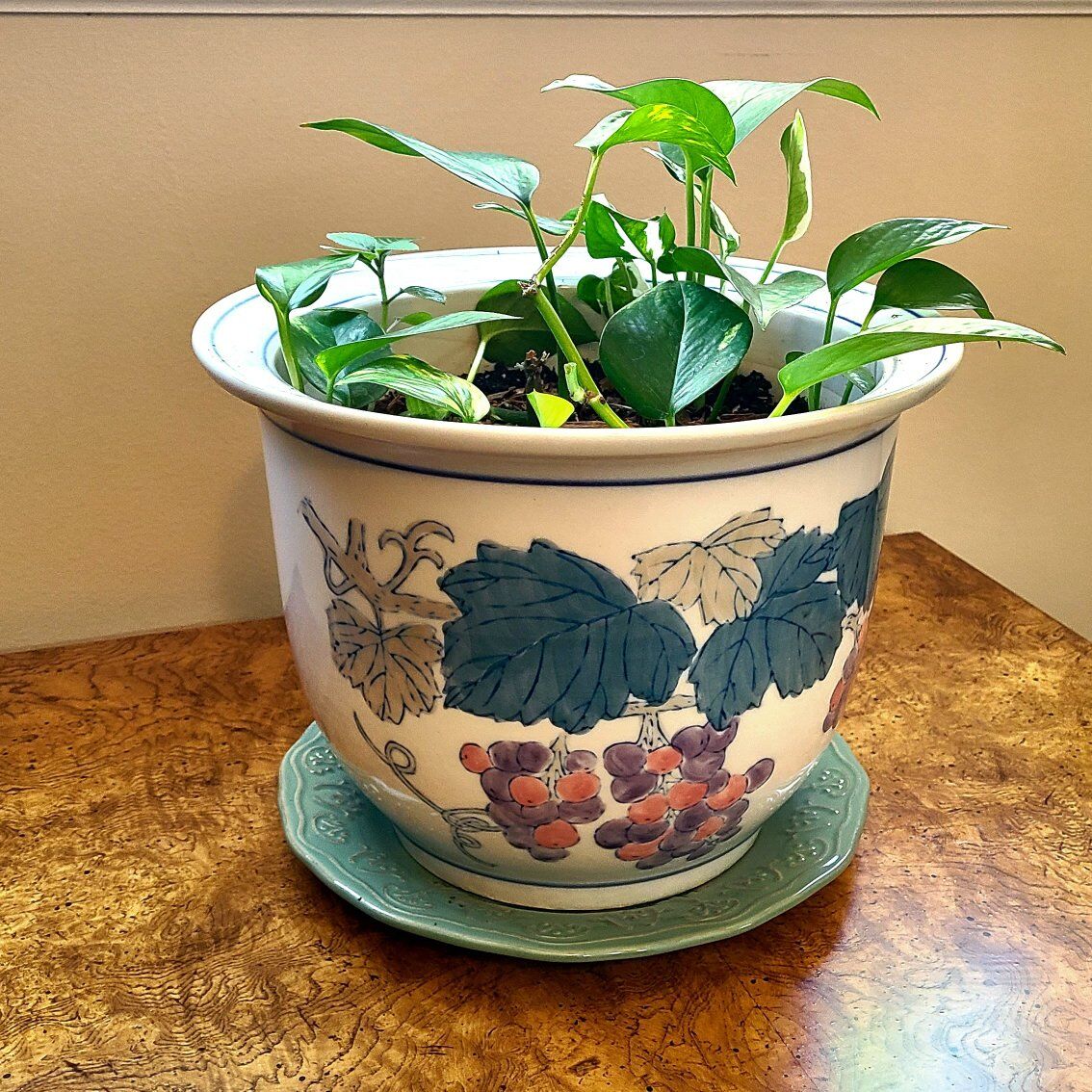 Asian Pot with Plants