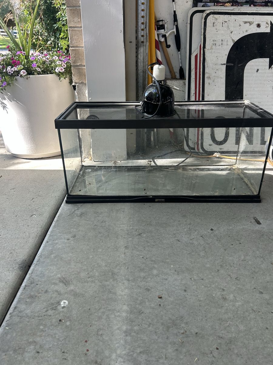 Zoomed 20 gallon