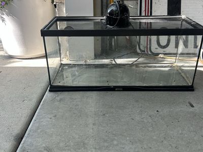Zoomed 20 gallon