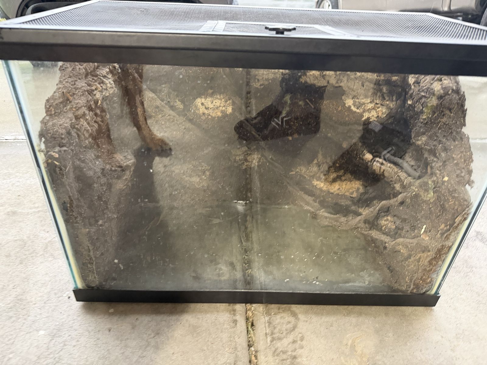 Terrarium Reptile Tank Custom 
