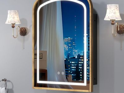 20"x30" LED Bathroom Medicine Cabinet w/ Mirror & Lights, Bronze Hand-Painted Baroque