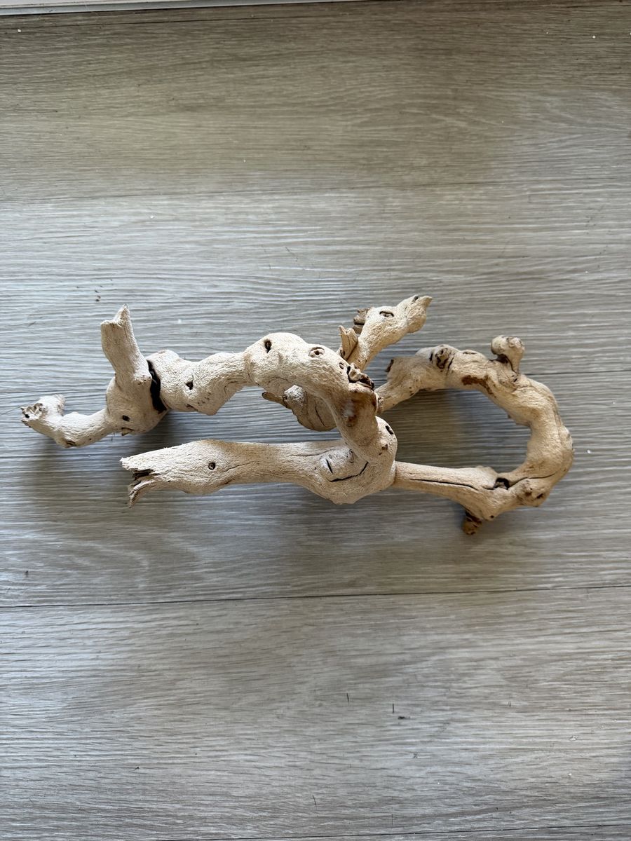 Natural Manzanita Driftwood Branch for Reptile Tank or Aquarium Aquascape 14 Inches