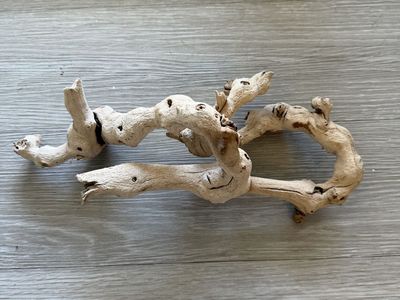 Natural Manzanita Driftwood Branch for Reptile Tank or Aquarium Aquascape 14 Inches