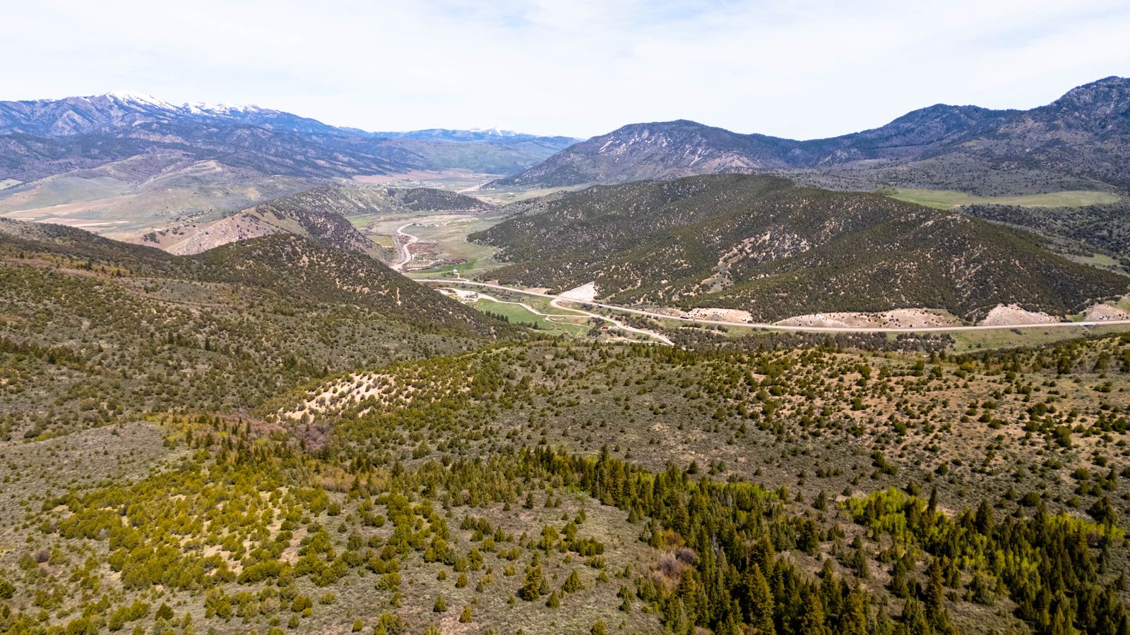 954 Acres of Opportunity