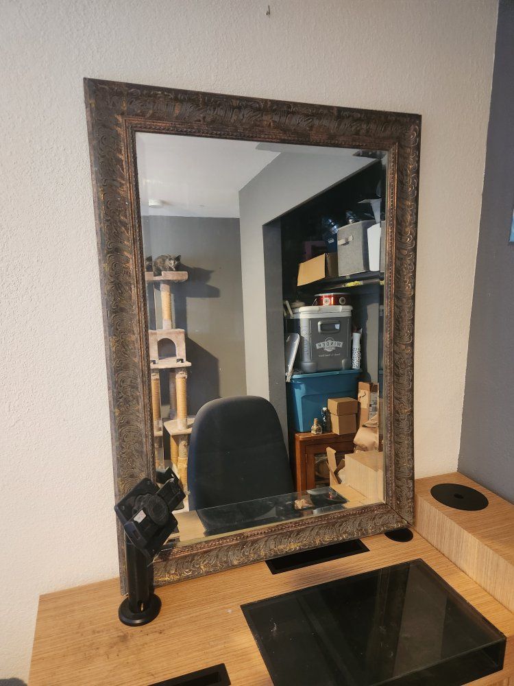 Large Decorative Wall Mirror with Carved Bronze/Gold Frame