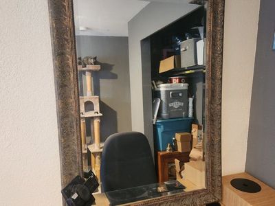 Large Decorative Wall Mirror with Carved Bronze/Gold Frame