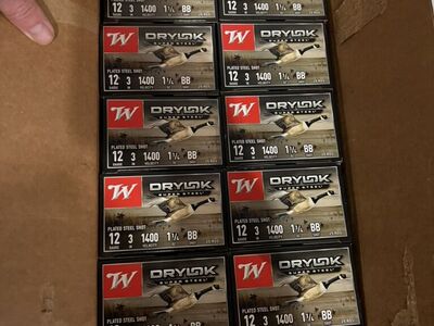 Winchester 12 gauge Drylok 3 BB shotgun shells Am