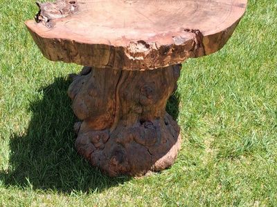 Amazing Burl Wood Table