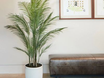 Faux 6.5' Palm Tree 1752946 #98179