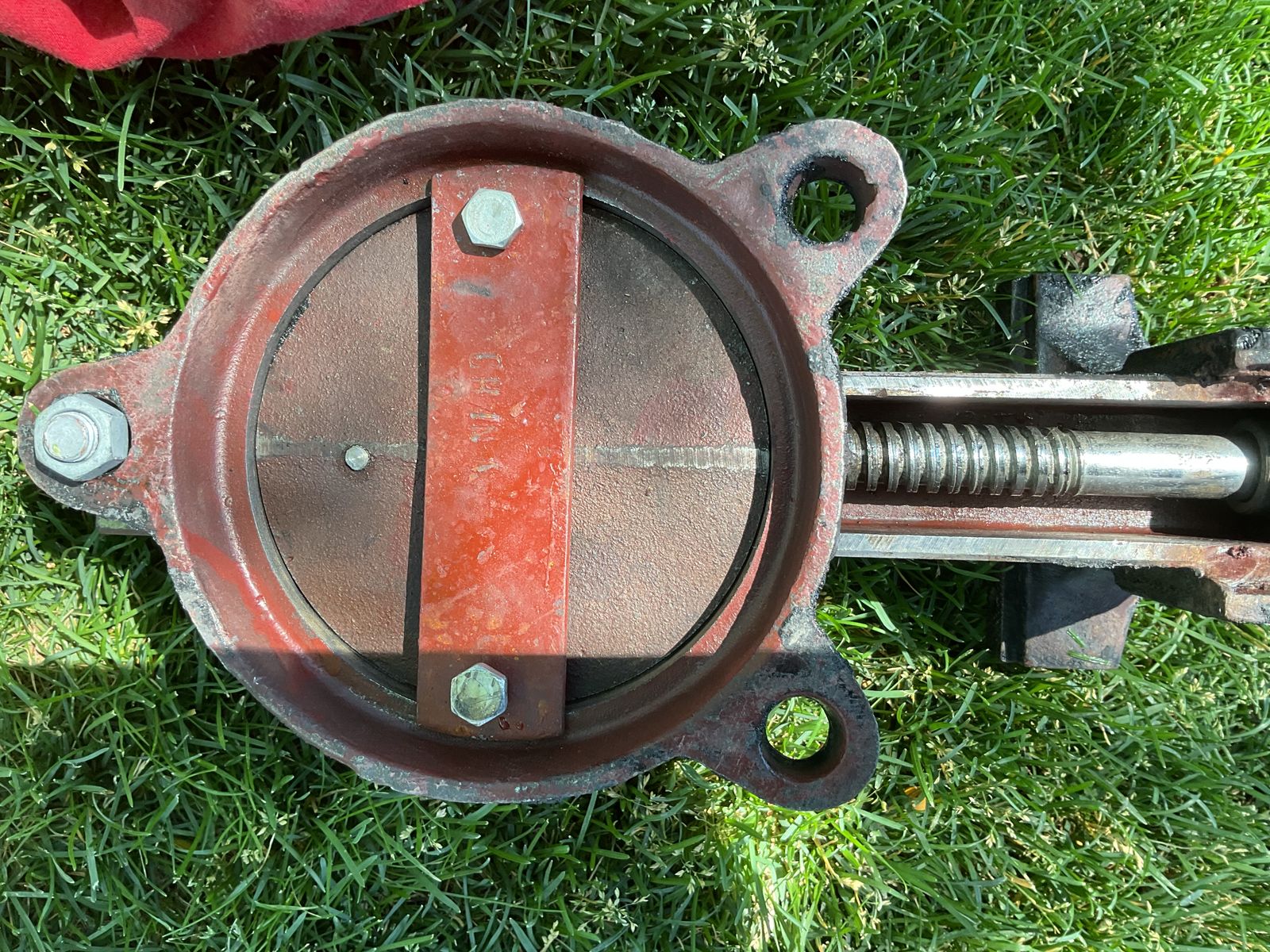 Main image 6