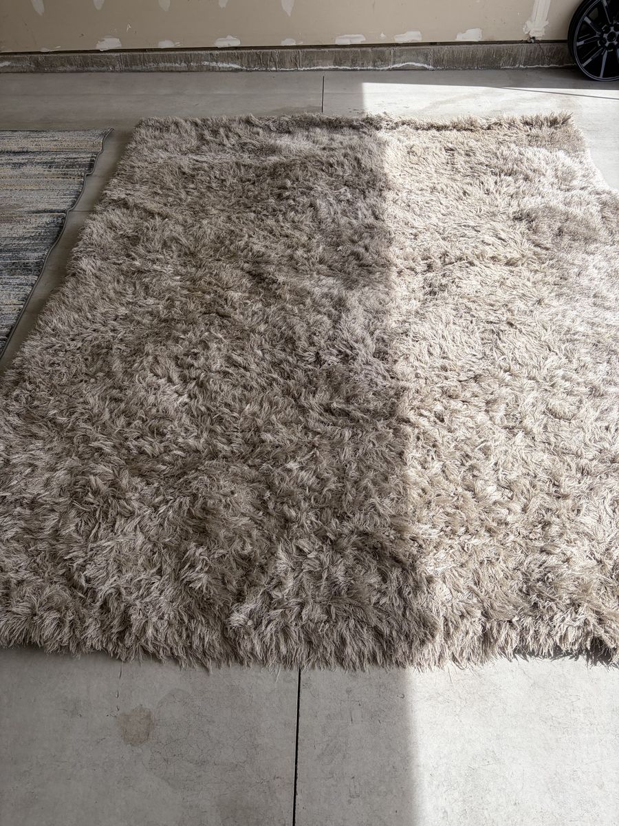 10 X 8 foot rug 50$ Obo