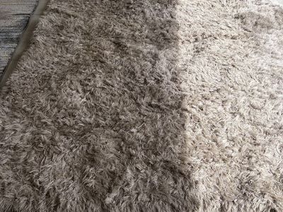 10 X 8 foot rug 50$ Obo