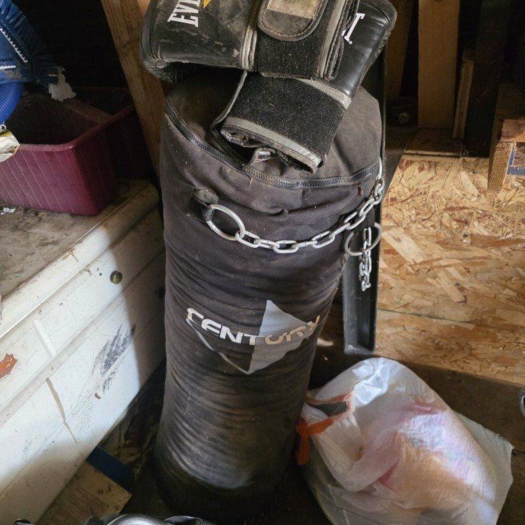 punching bag