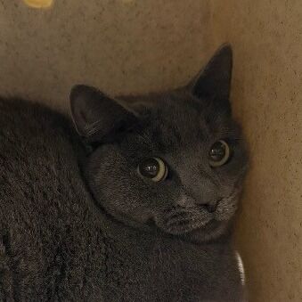 Hello my name is Mickey