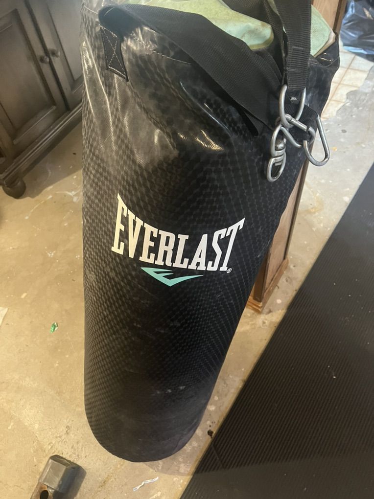 Everlast Punching Bag.