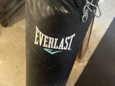 Everlast Punching Bag.