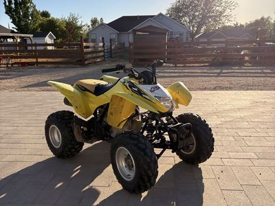 Honda trx 250x 2018
