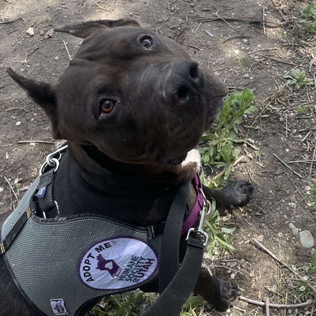 Hello my name is Jax