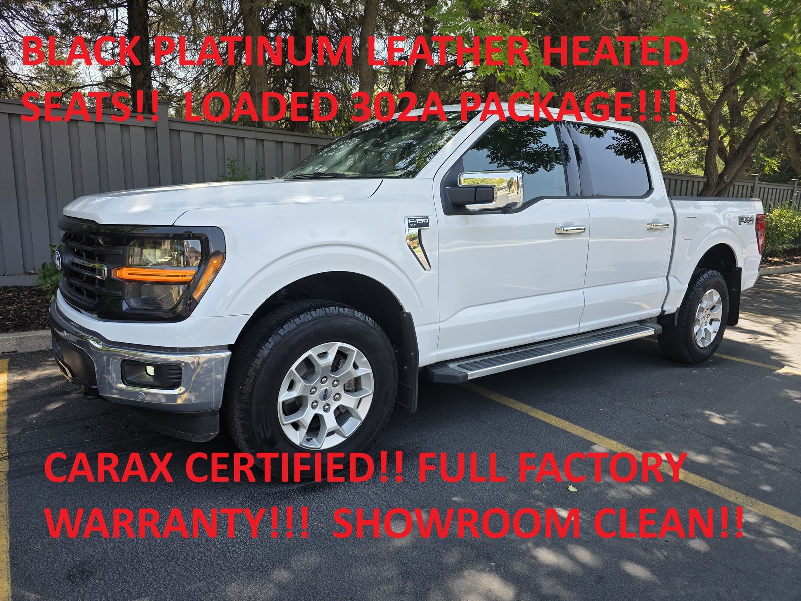 2025 Ford F-150 XLT