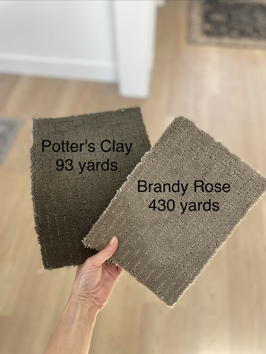 Clearance Priced Nylon Carpet! $1/yd