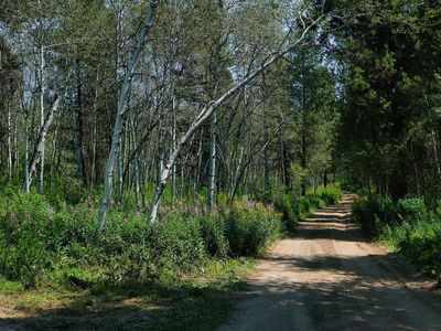 5.04 Acres Bordering National Forest | No CCRs | Tetonia, ID