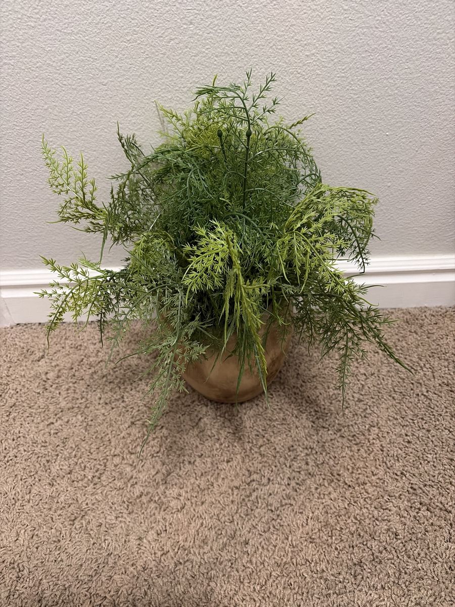 New Threshold Faux Plant In Natural Wood Vase