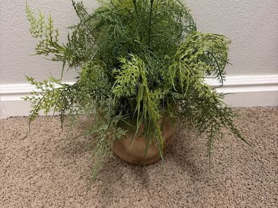 New Threshold Faux Plant In Natural Wood Vase
