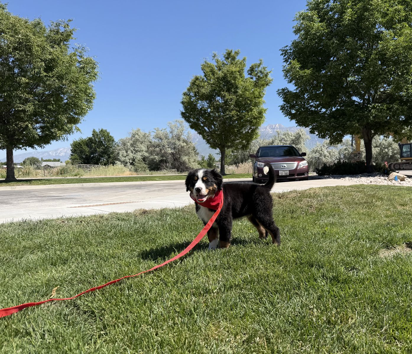 Main image 4