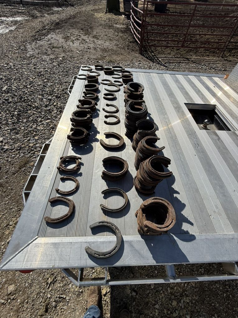 Horseshoes