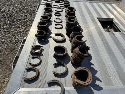 Horseshoes
