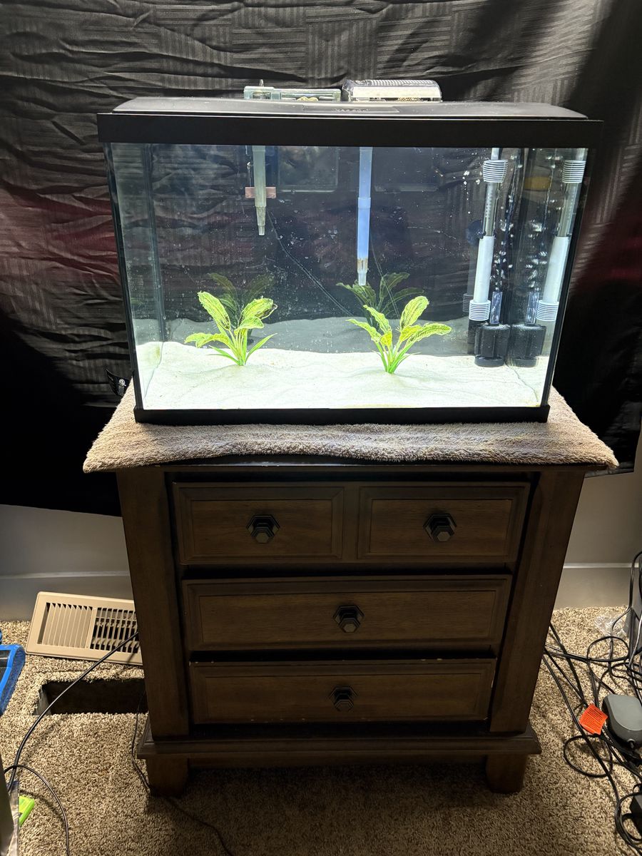 20 gl aquarium/stand/filters/heater