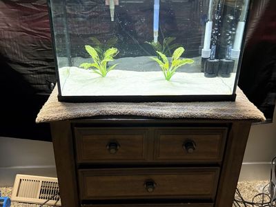 20 gl aquarium/stand/filters/heater