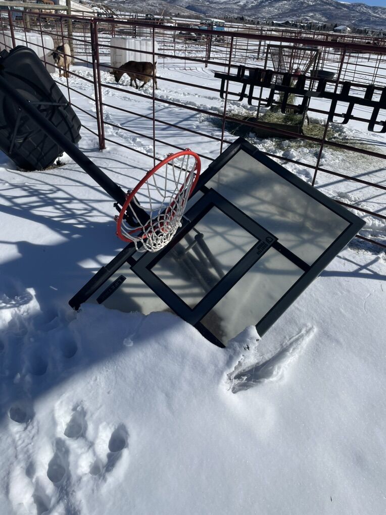 Basketball Standard Lifetime