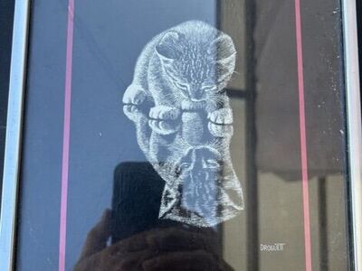 Rudy Droguett Kitten Print “Reflections” Wall Art