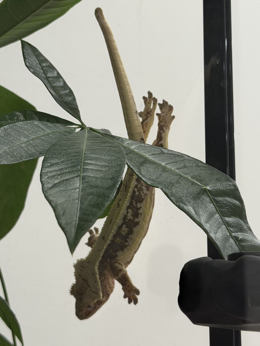 Main image 6