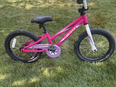 Specialized Hot Rock 16 Inch