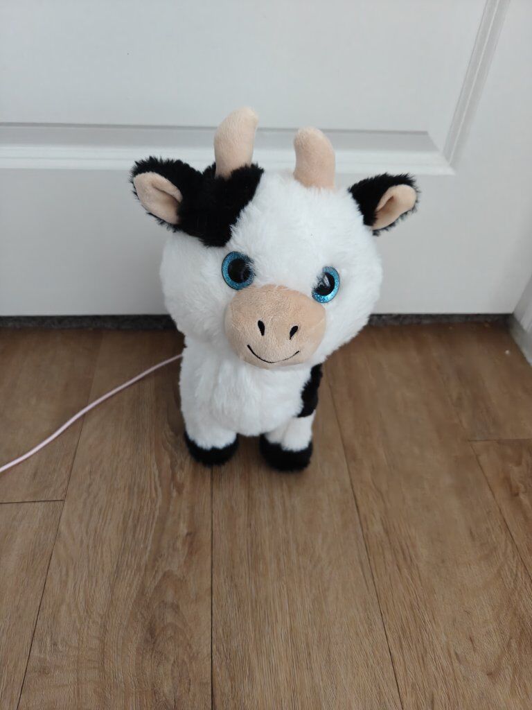 Member's Mark Remote-Controlled Walking & Dancing