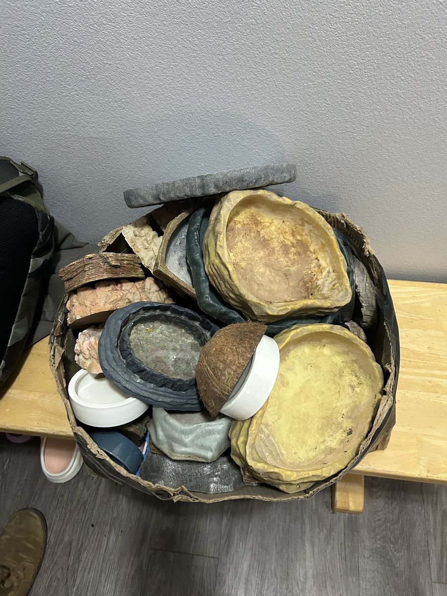 Bowls
