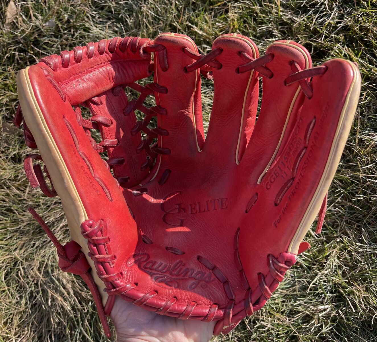 Rawlings Gold Glove Elite 11.5 in. Baseball Glove