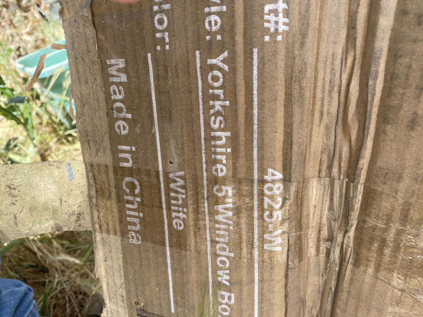 Main image 4