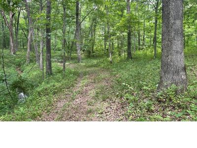 Vacant Wooded 5.89 Acre Lot in Nauvoo The Beautiful