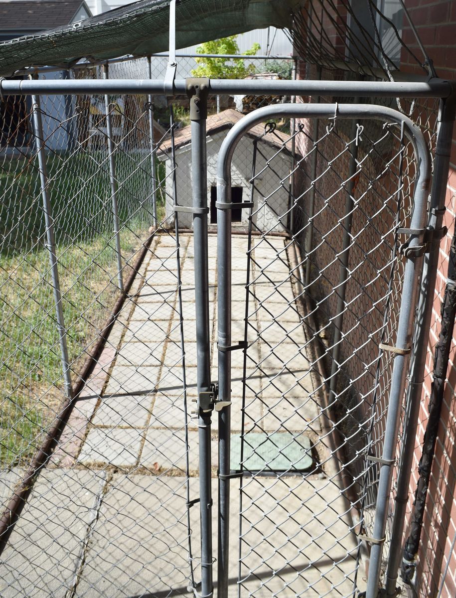 Main image 6
